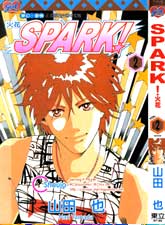 SPARK火花