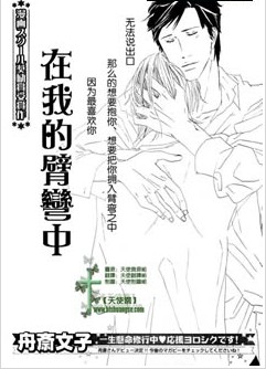 在我的臂彎中