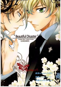Beautiful Disaster