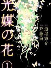 光媒之花