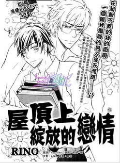 屋頂上綻放的戀情