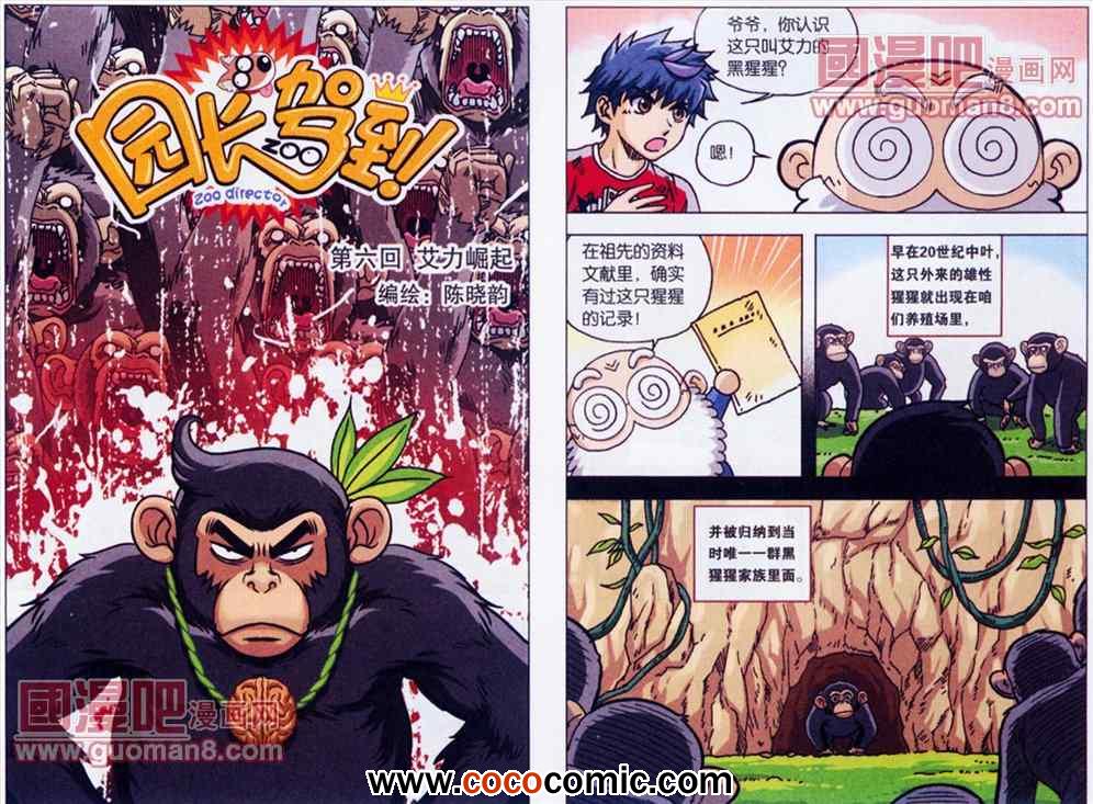 006集