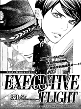 EXECUTIVE FLIGHT