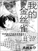 我的金絲雀