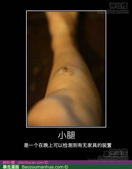 檢測裝置