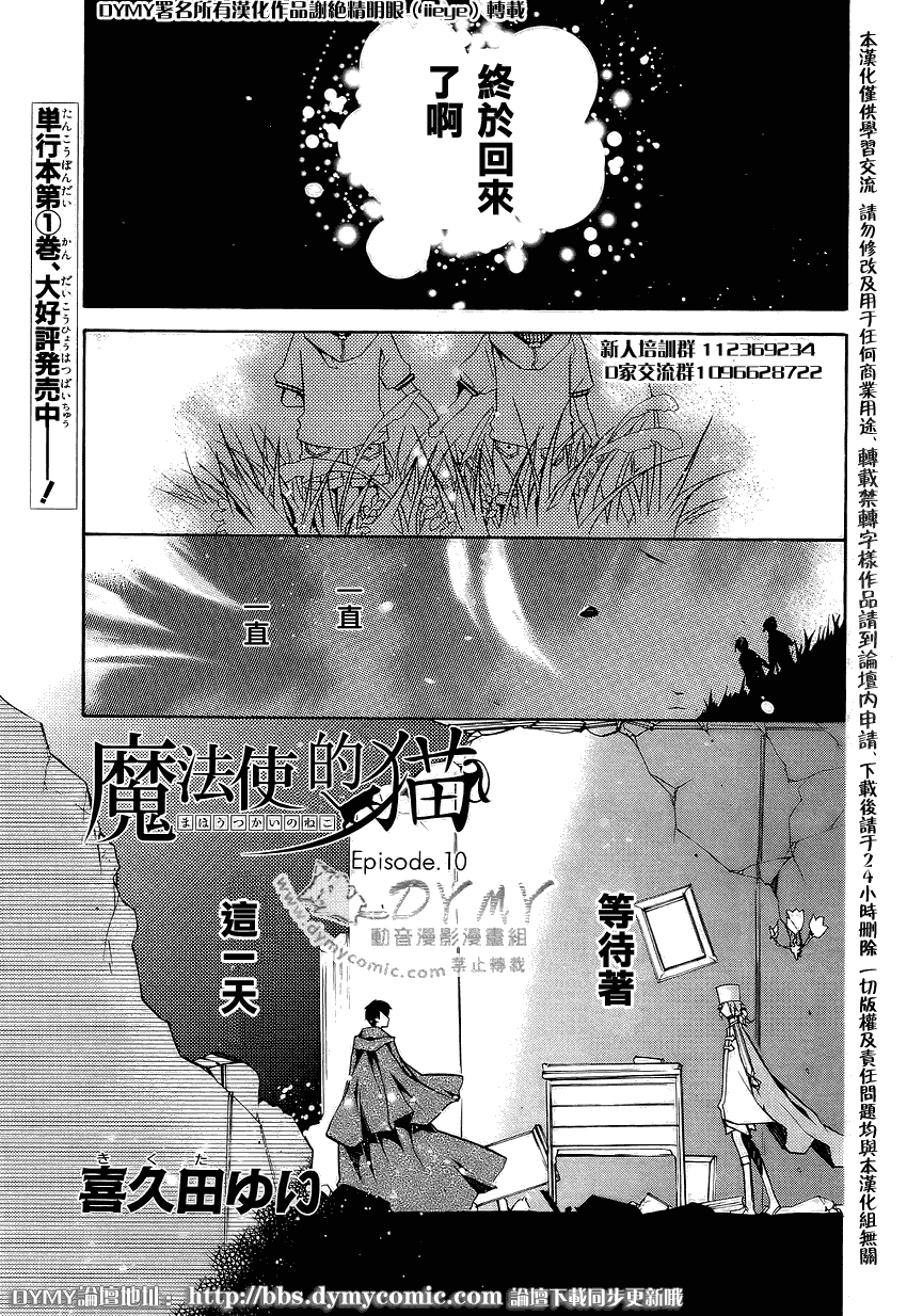 010集