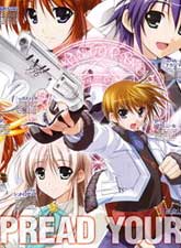 魔法戰記奈葉Force Record