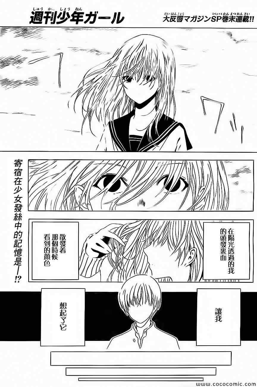 010集