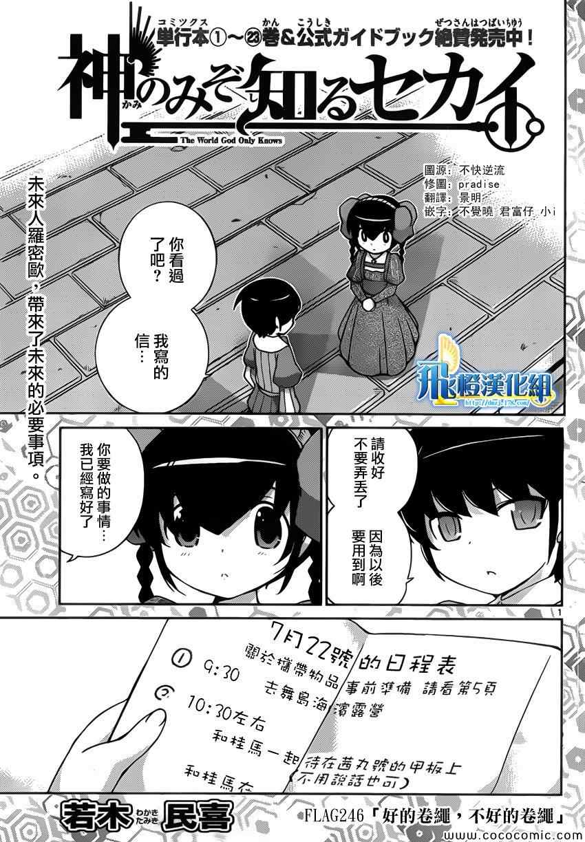 神之境界246集