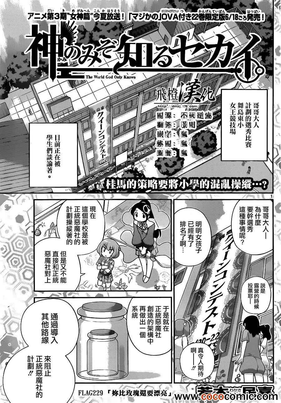 神之境界229集