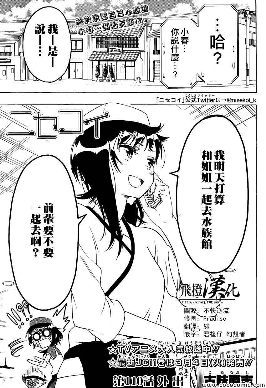 110集