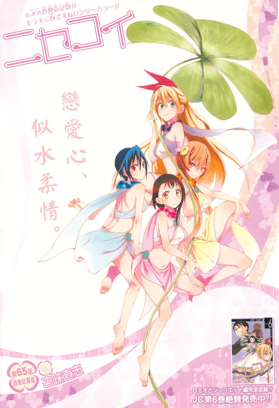 065集