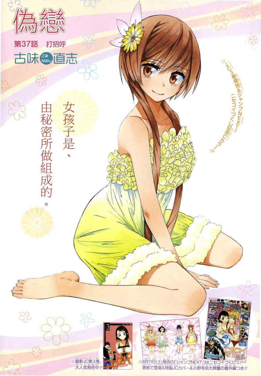 037集