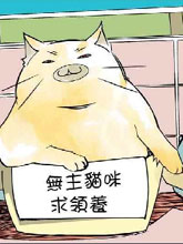 不同于草包貓的人生
