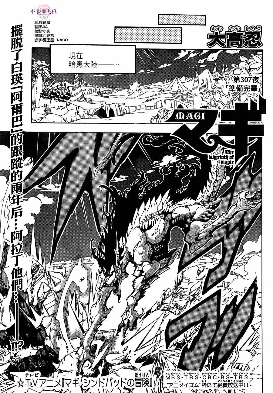 魔笛magi 307話