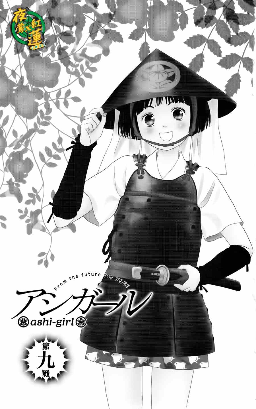 009集
