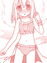 魔法少女什么的已經夠了啦。