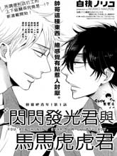 閃閃發光君與馬馬虎虎君