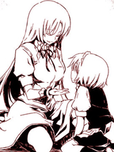 Perfect女仆帳（暫）