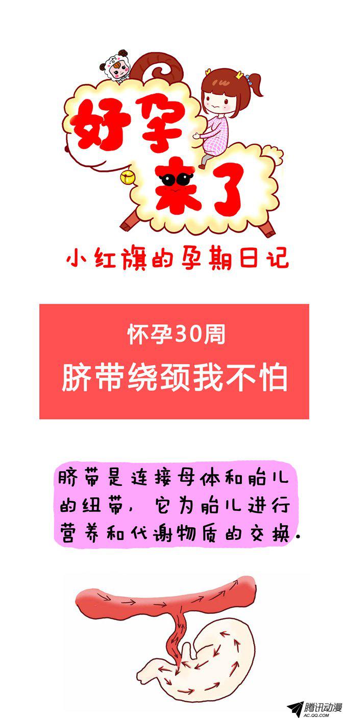 027話