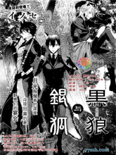 黑狼與銀狐