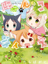 貓咪日常