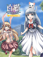 白貓project