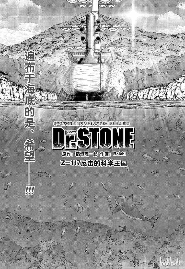 117集