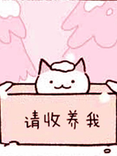 不可思議的貓咪 小九