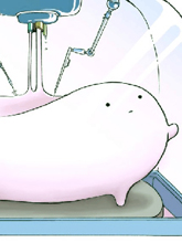 打印生物·日本
