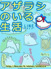 與海豹寶寶一起生活