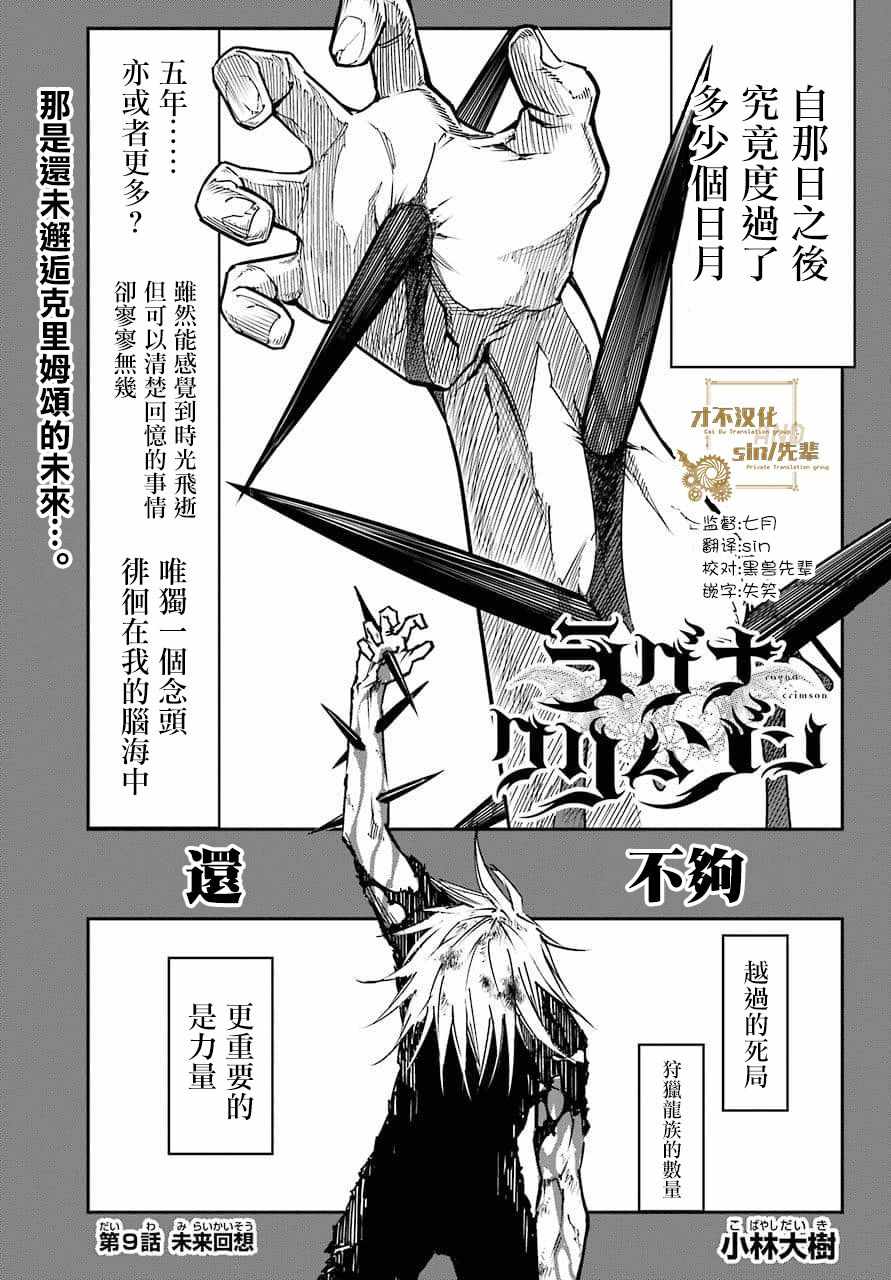 009集
