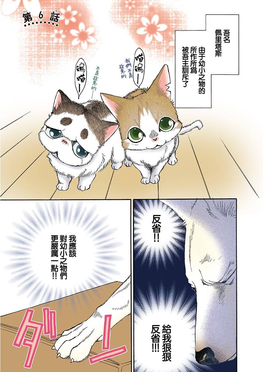 撿到了兩只奶貓 006集
