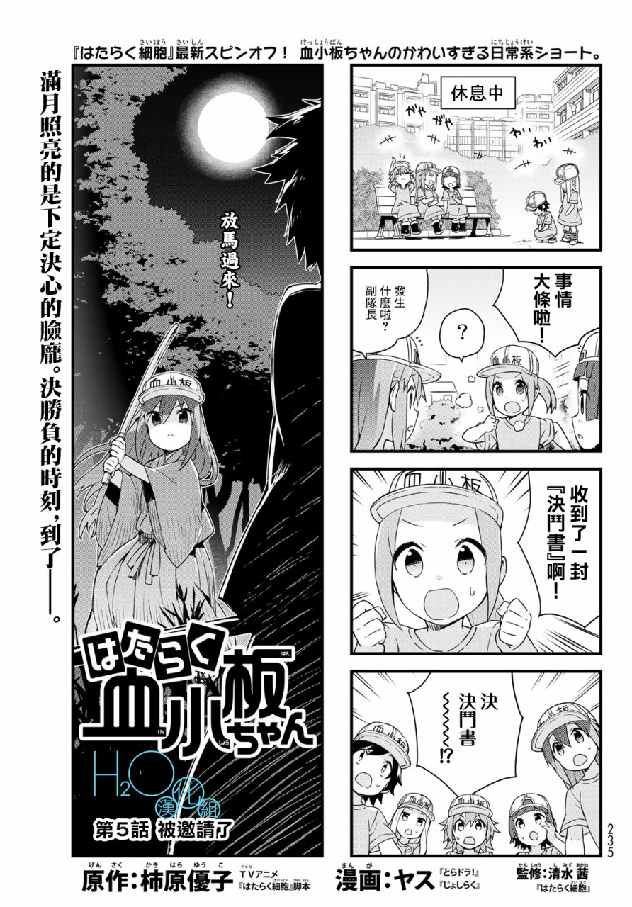 005集