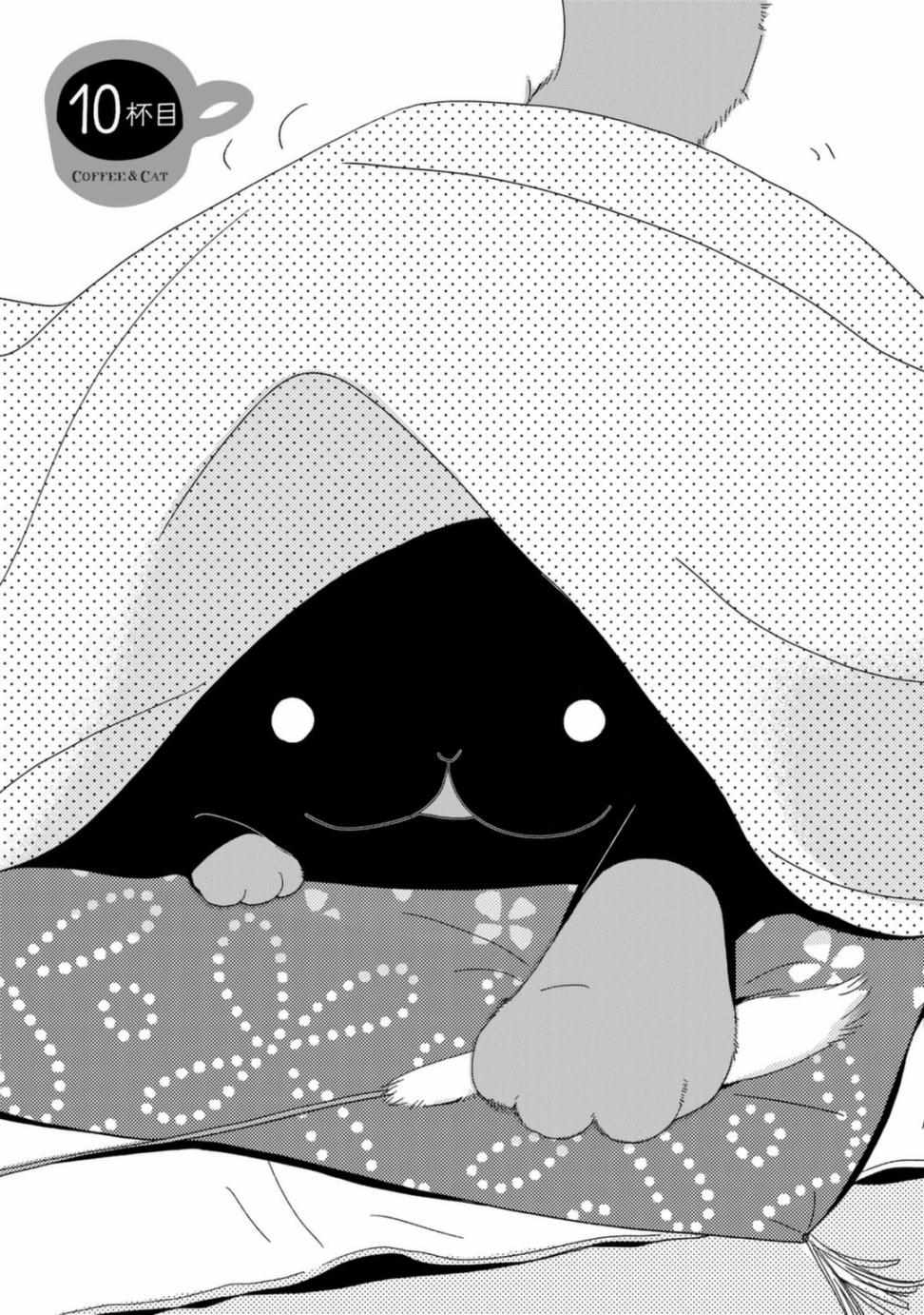 010集