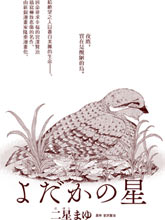 夜鷹之星