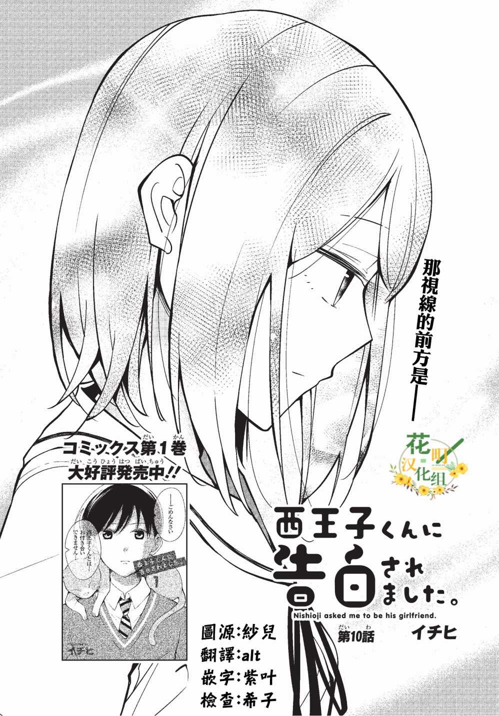 010集