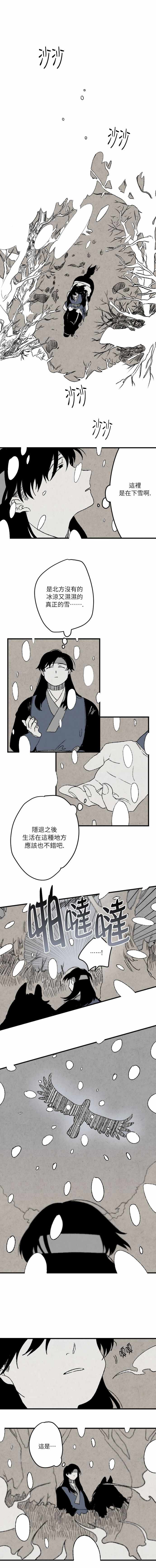 005集
