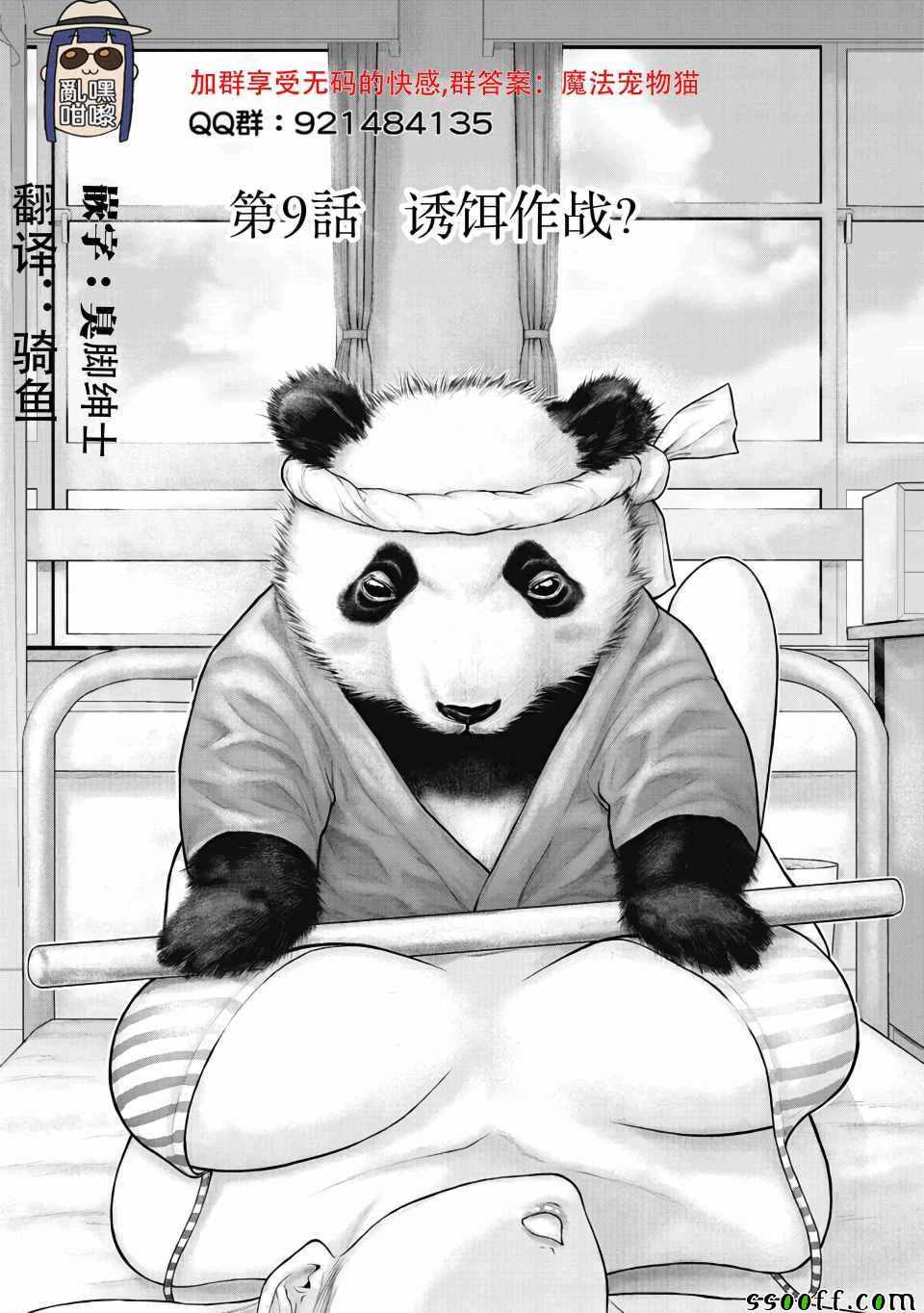 009集