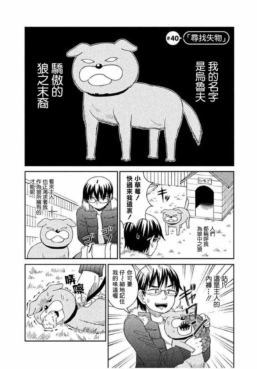 040集