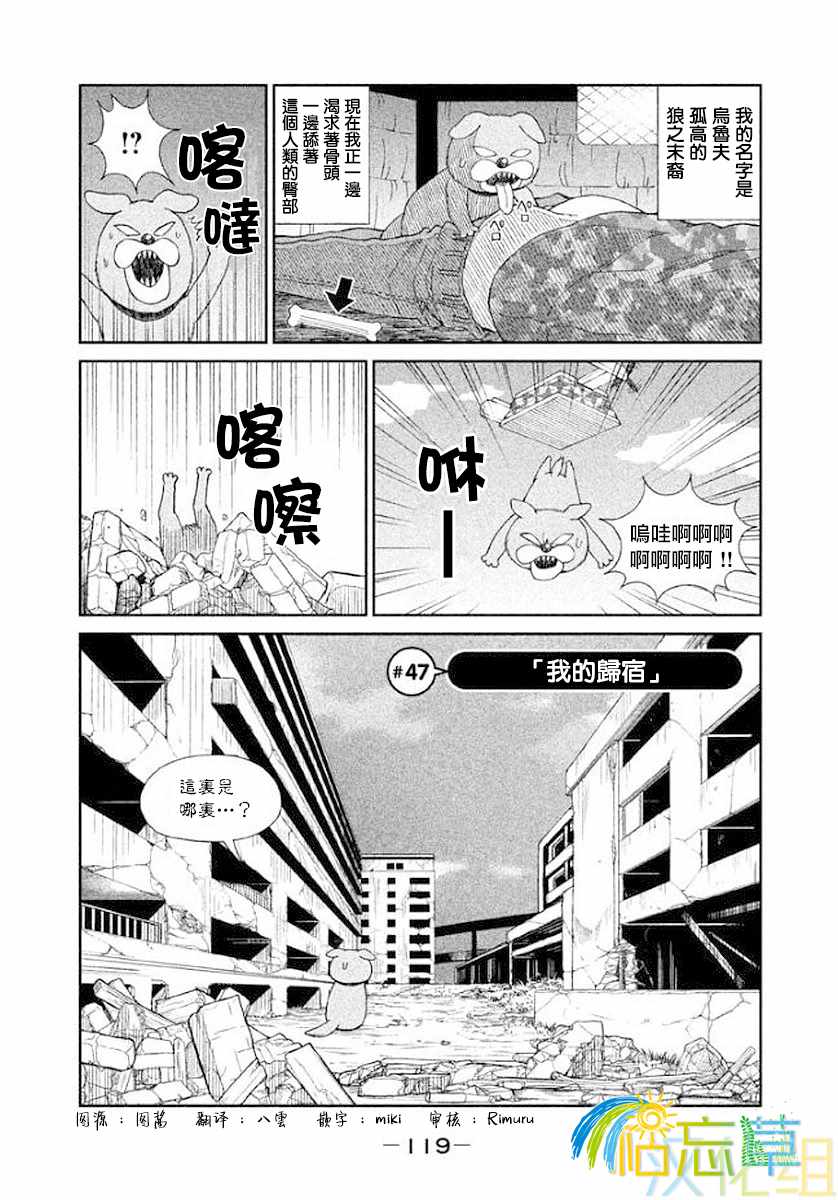 047集