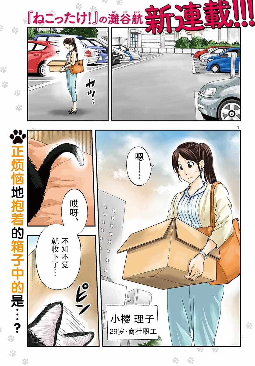 001集