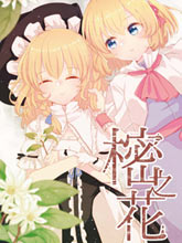 樒之花