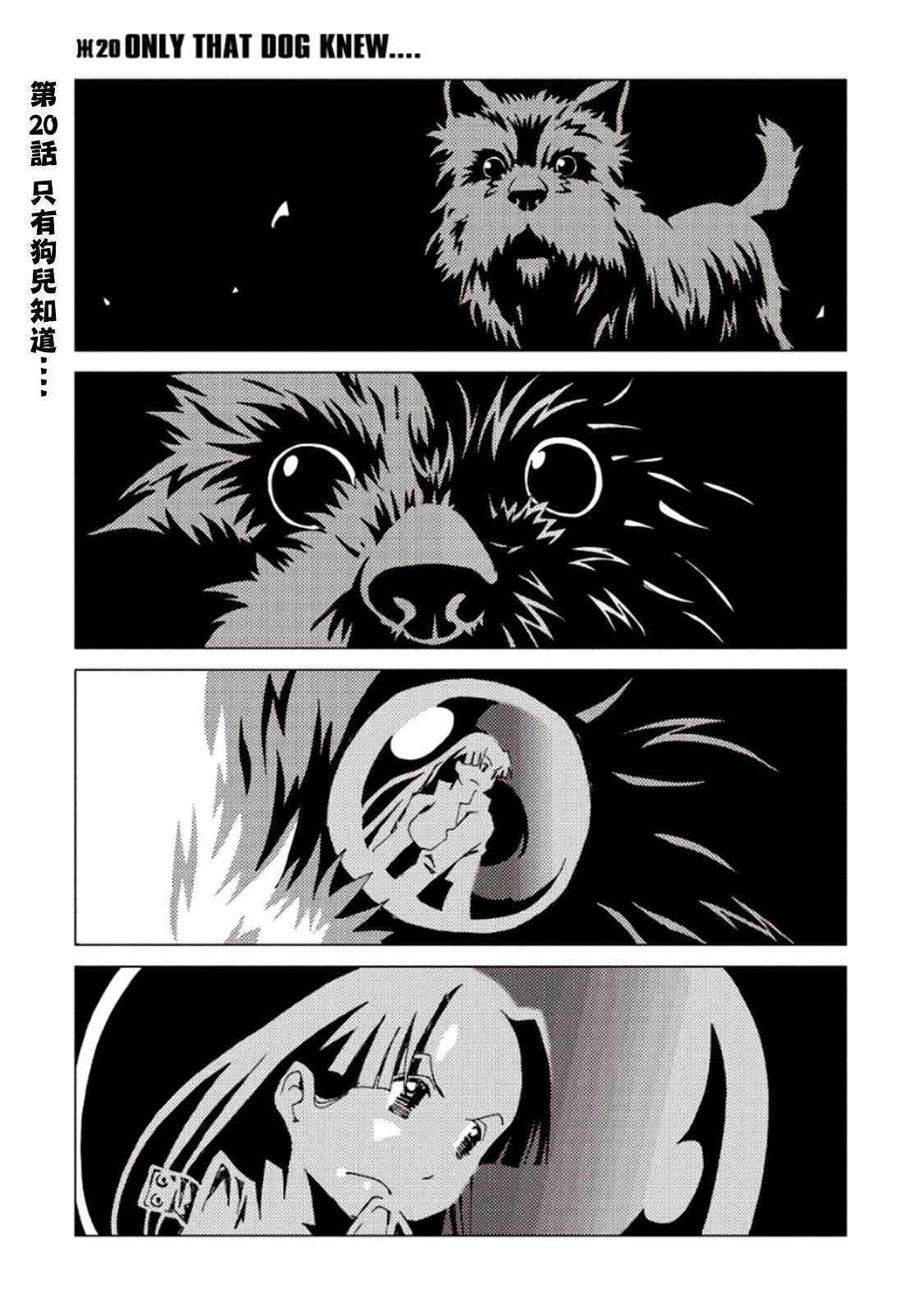 020集