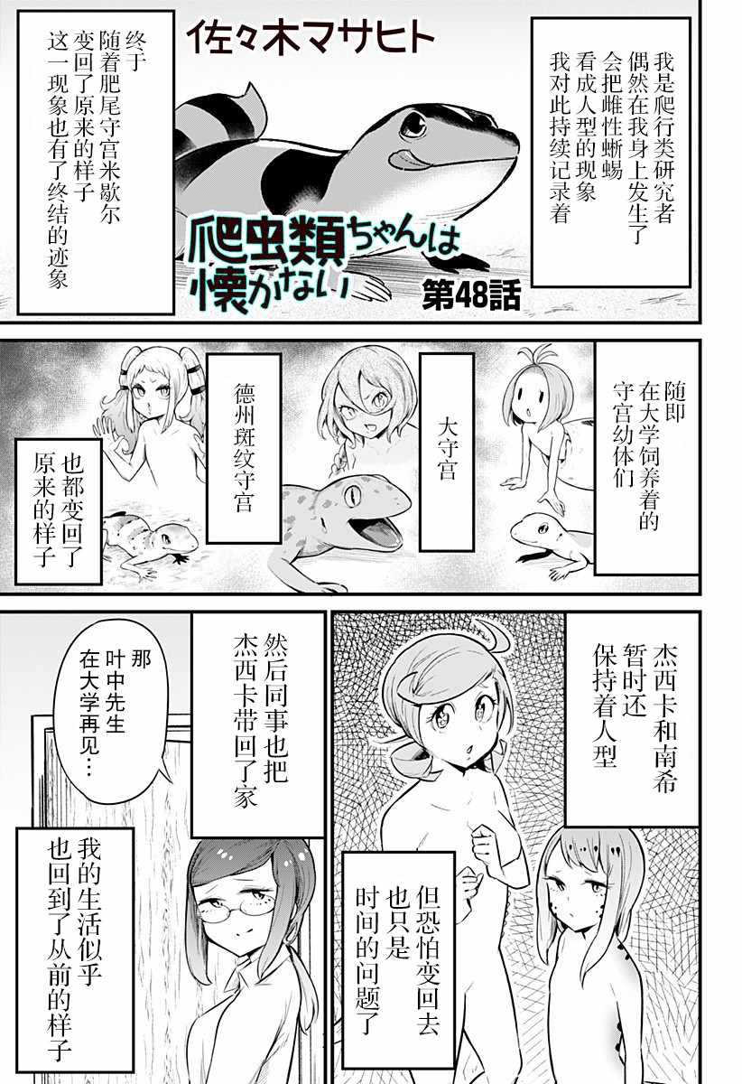 048集
