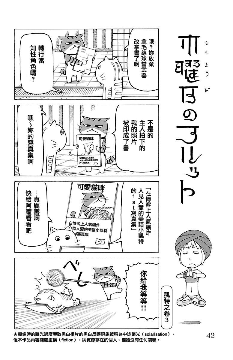 410集
