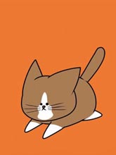 鴻池剛與貓咪邦太 嗚喵——！
