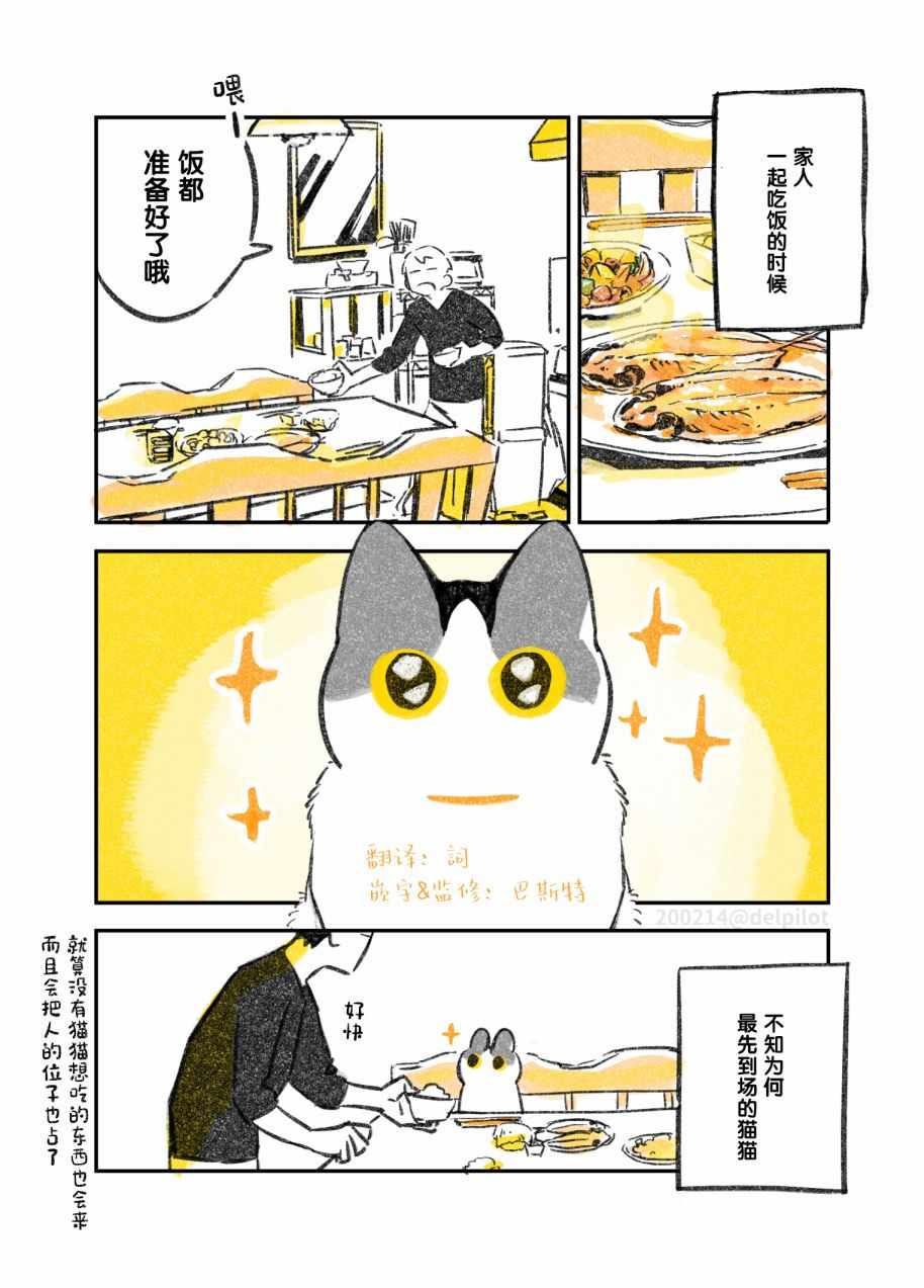 和貓在一起生活 011集