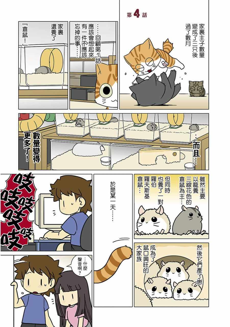 004集