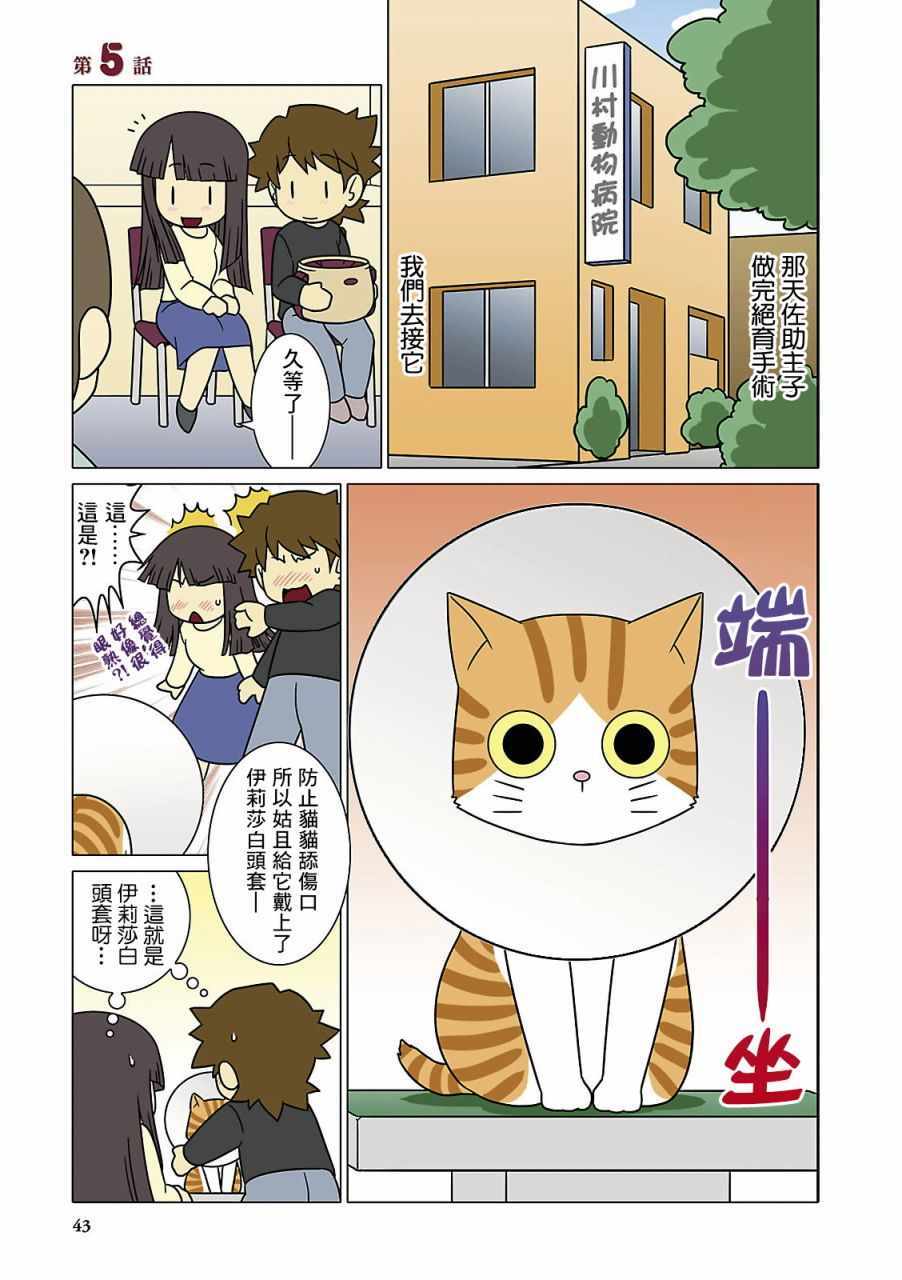 005集